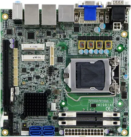 MI981