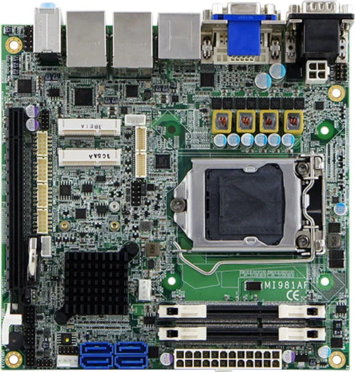 MI981